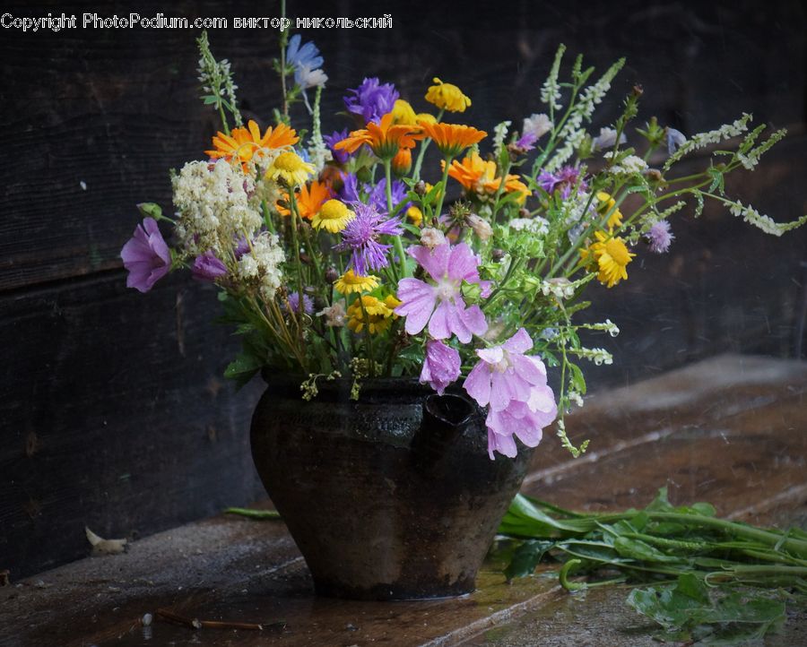 Plant, Potted Plant, Flower, Flower Arrangement, Flower Bouquet, Pot, Pottery