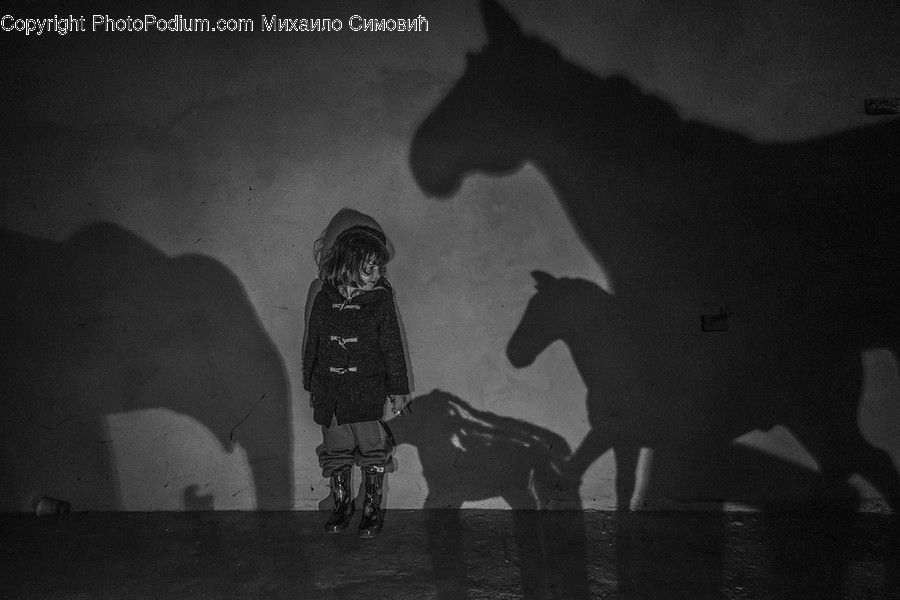 Human, Person, Silhouette, Horse, Animal