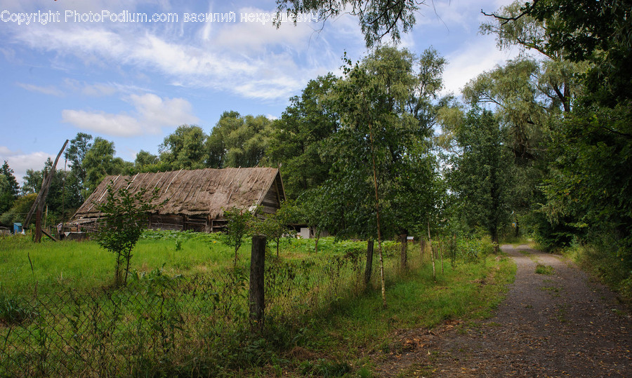 Nature, Outdoors, Building, Countryside, Rural