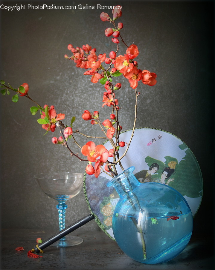 Ornament, Pottery, Jar, Blossom, Flower Arrangement