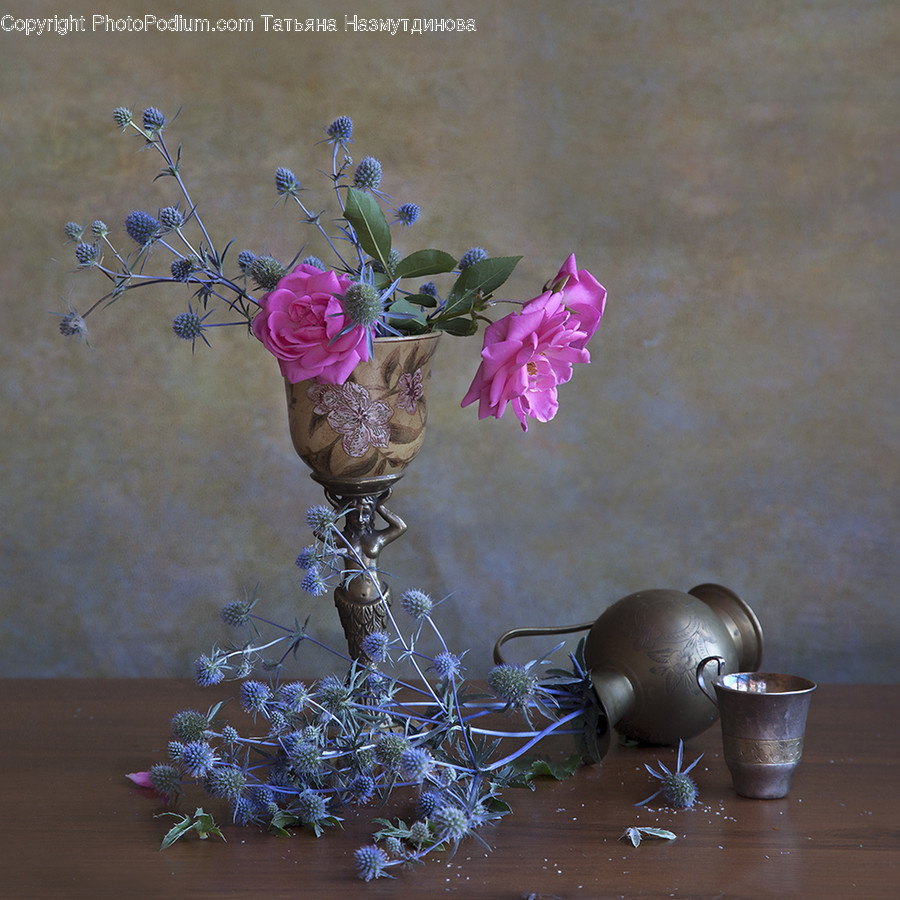 Plant, Vase, Flower, Flower Arrangement, Ikebana