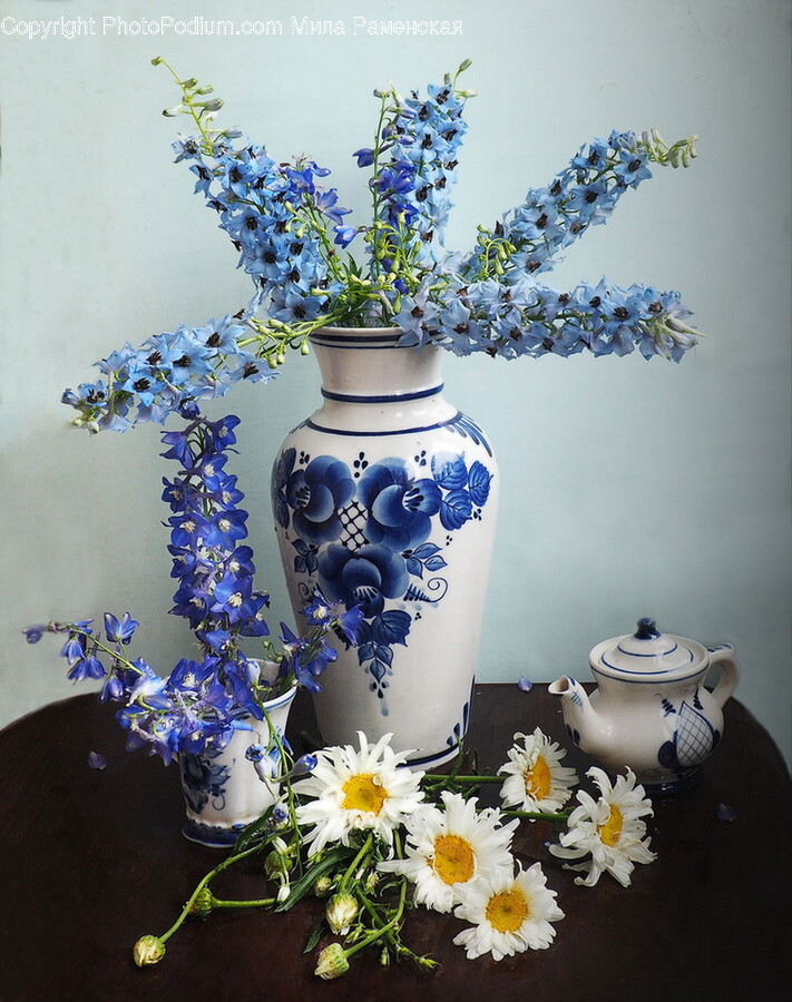 Porcelain, Pottery, Art, Plant, Flower
