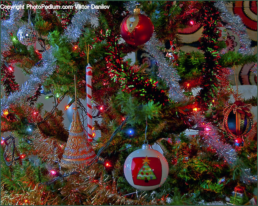 Christmas Tree, Tree, Ornament, Plant, Lighting