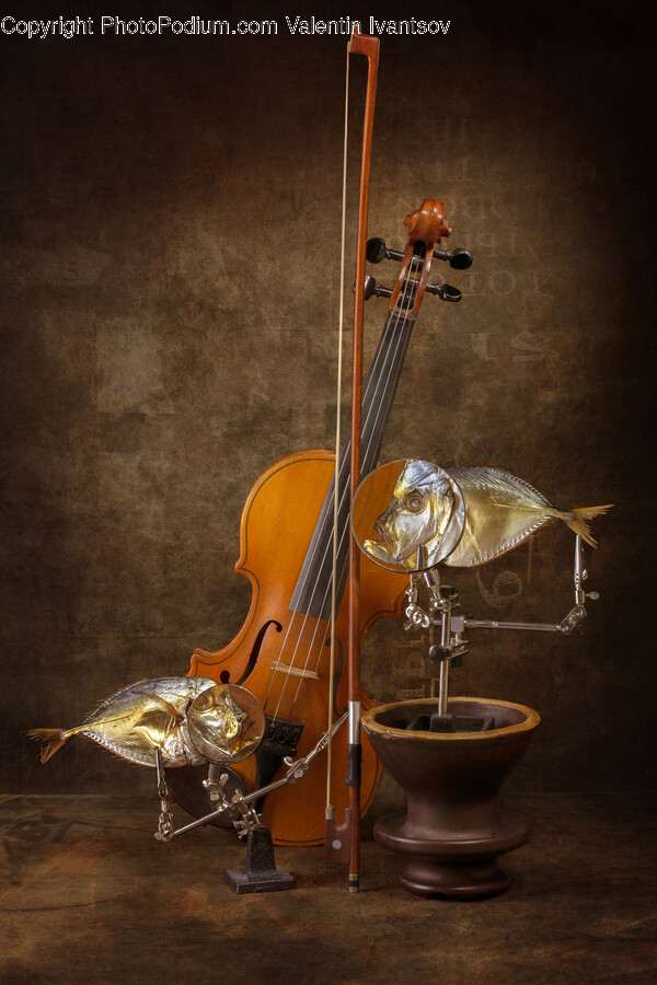 Leisure Activities, Musical Instrument, Violin, Fiddle, Viola