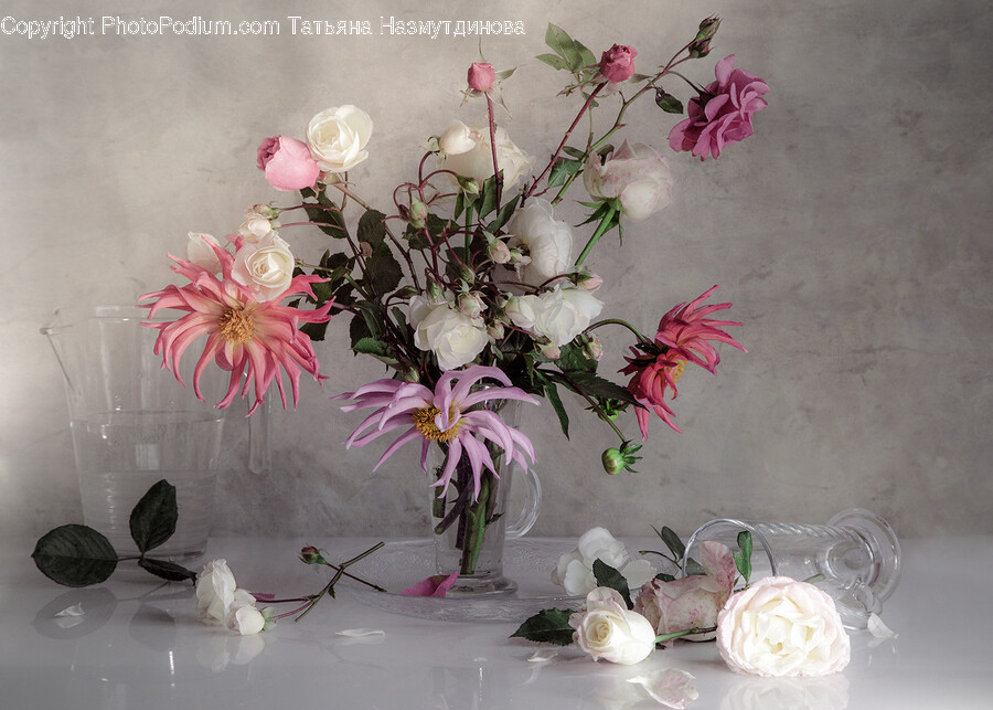Ikebana, Plant, Vase, Flower, Flower Arrangement