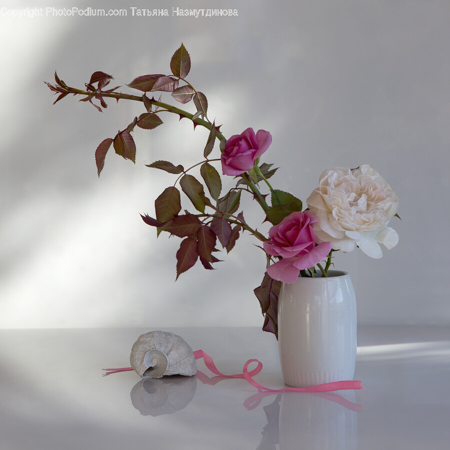Flower Arrangement, Flower, Plant, Rose, Flower Bouquet