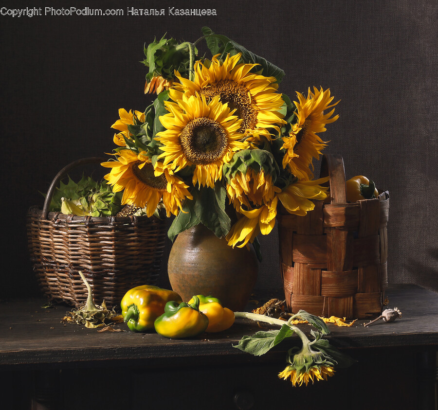 Flower, Flower Arrangement, Plant, Sunflower, Flower Bouquet