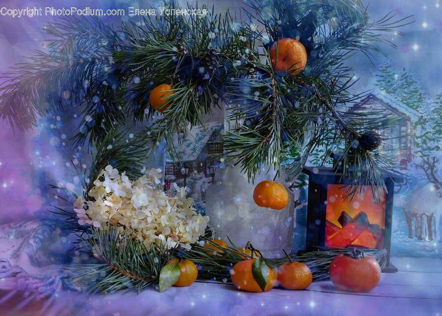 Christmas, Christmas Decorations, Festival, Christmas Tree, Citrus Fruit