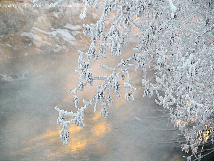 Ice, Nature, Outdoors, Weather, Frost
