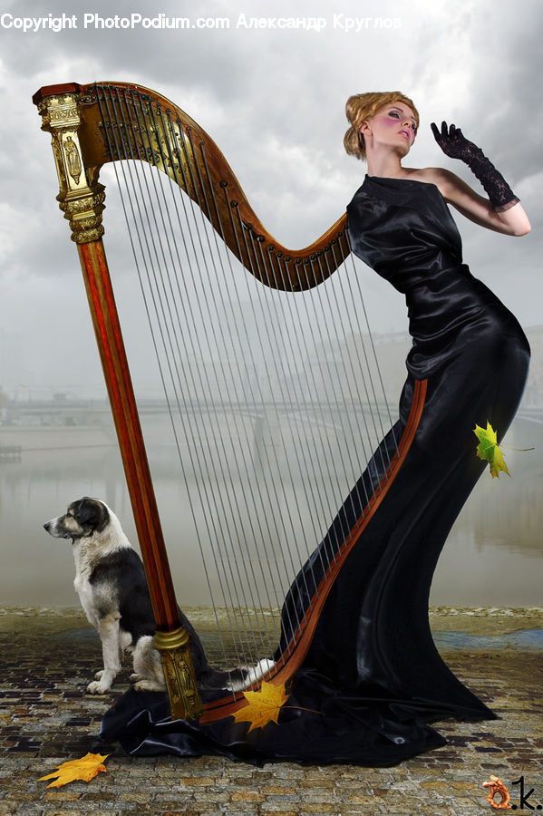 Harp, Musical Instrument, Human, People, Person, Animal, Canine