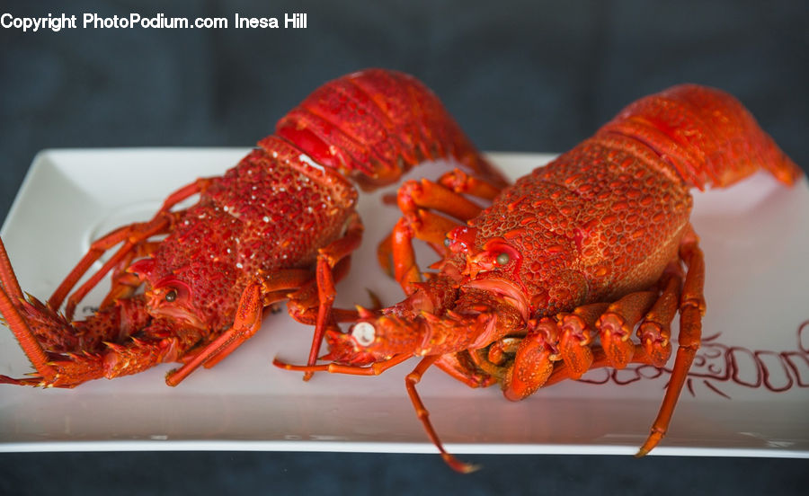 Food, Lobster, Sea Life, Seafood, Crab, Invertebrate, King Crab