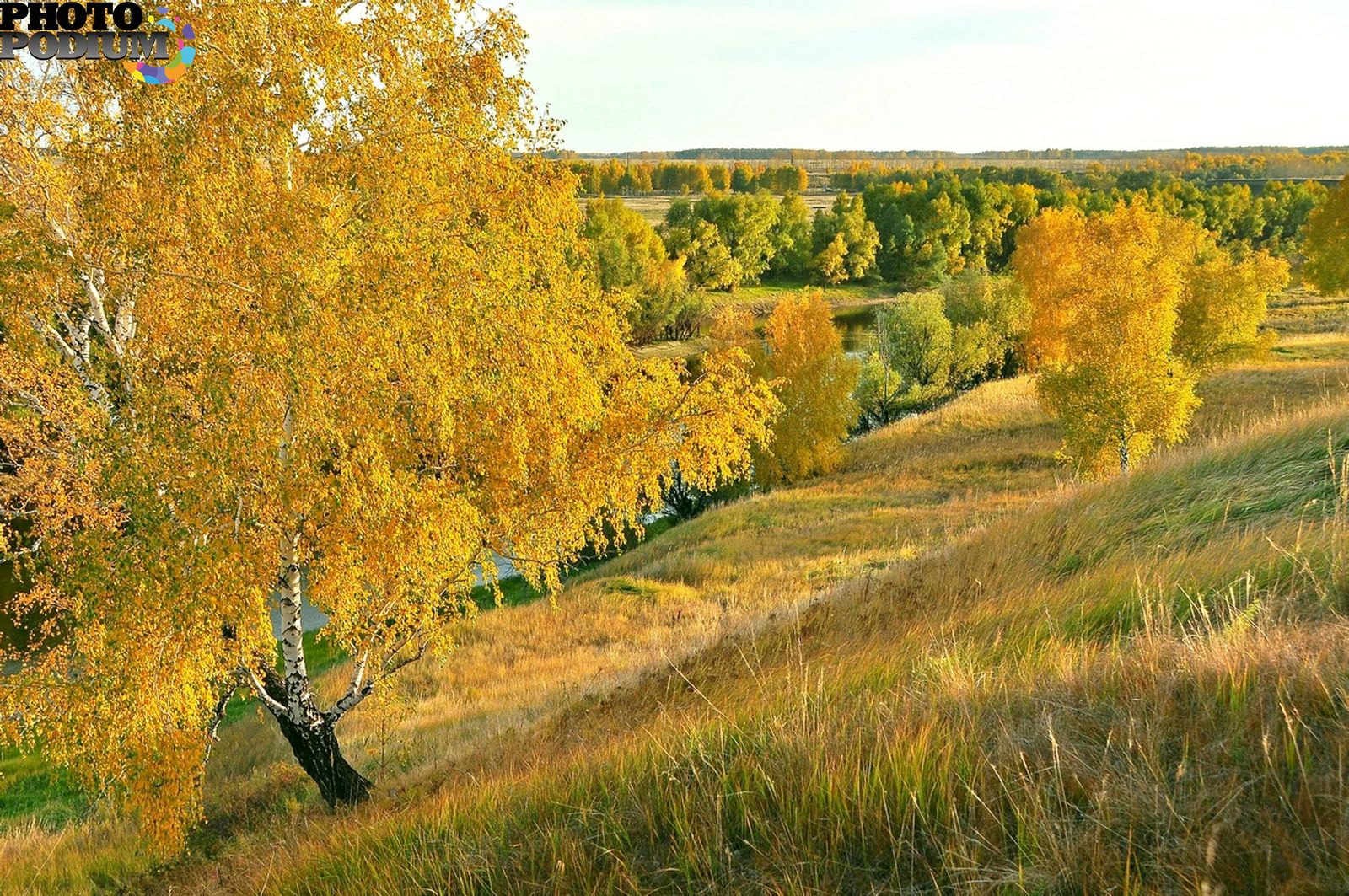 Погода в золотой омской. Омская область осень природа. Золотая осень. Золотая осень в России. Осень в деревне.