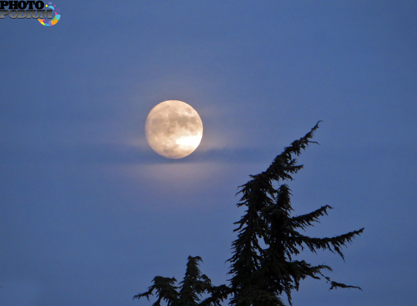 Явления с луной. Фото Луны. Природные явления с луной. Голубая Луна явление. Явление полнолуния.