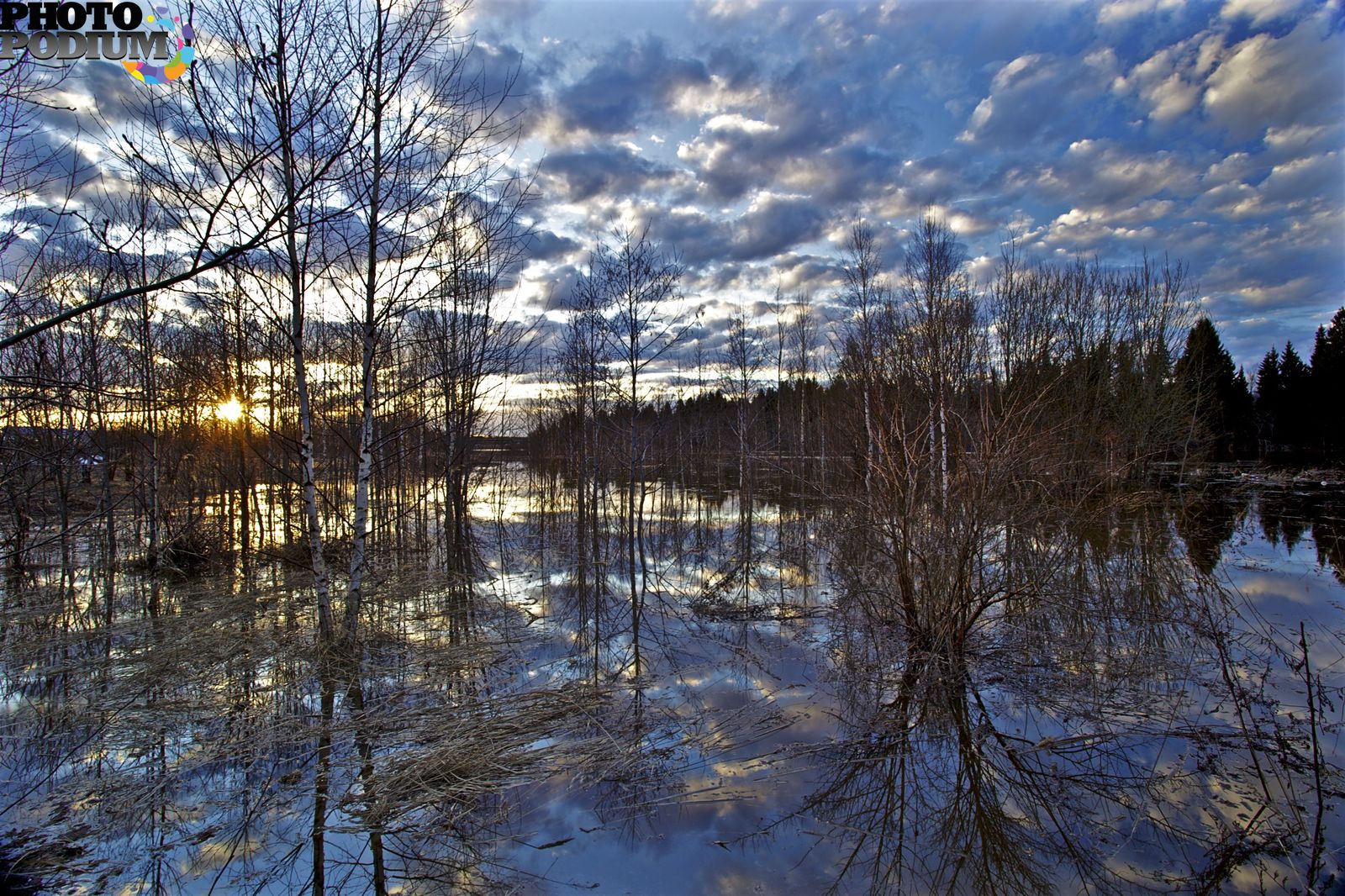 Лесное озеро Переславль