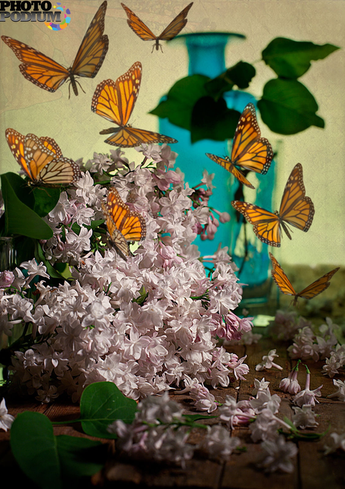 Музыка для танца бабочек. Танец бабочек. Бабочки танцуют. Танец цветов и бабочек. Цветочки для бабочек на танец.