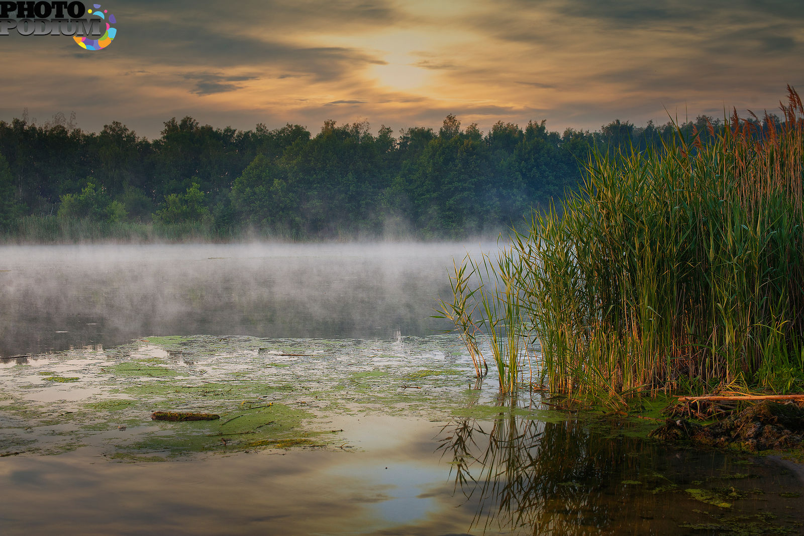 Дождь начавшийся утром. Озеро в тумане. Туманное утро на реке. Туман на реке. Утро река туман.