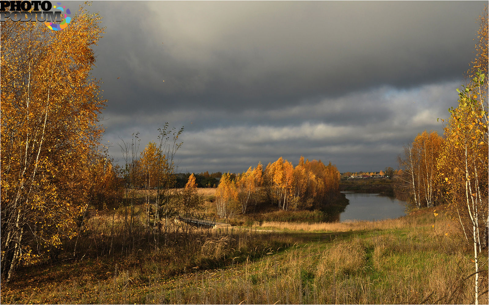Бродить в перелеске. Унылая осень. Унылый осенний пейзаж. Осень в России. Грустная осень.