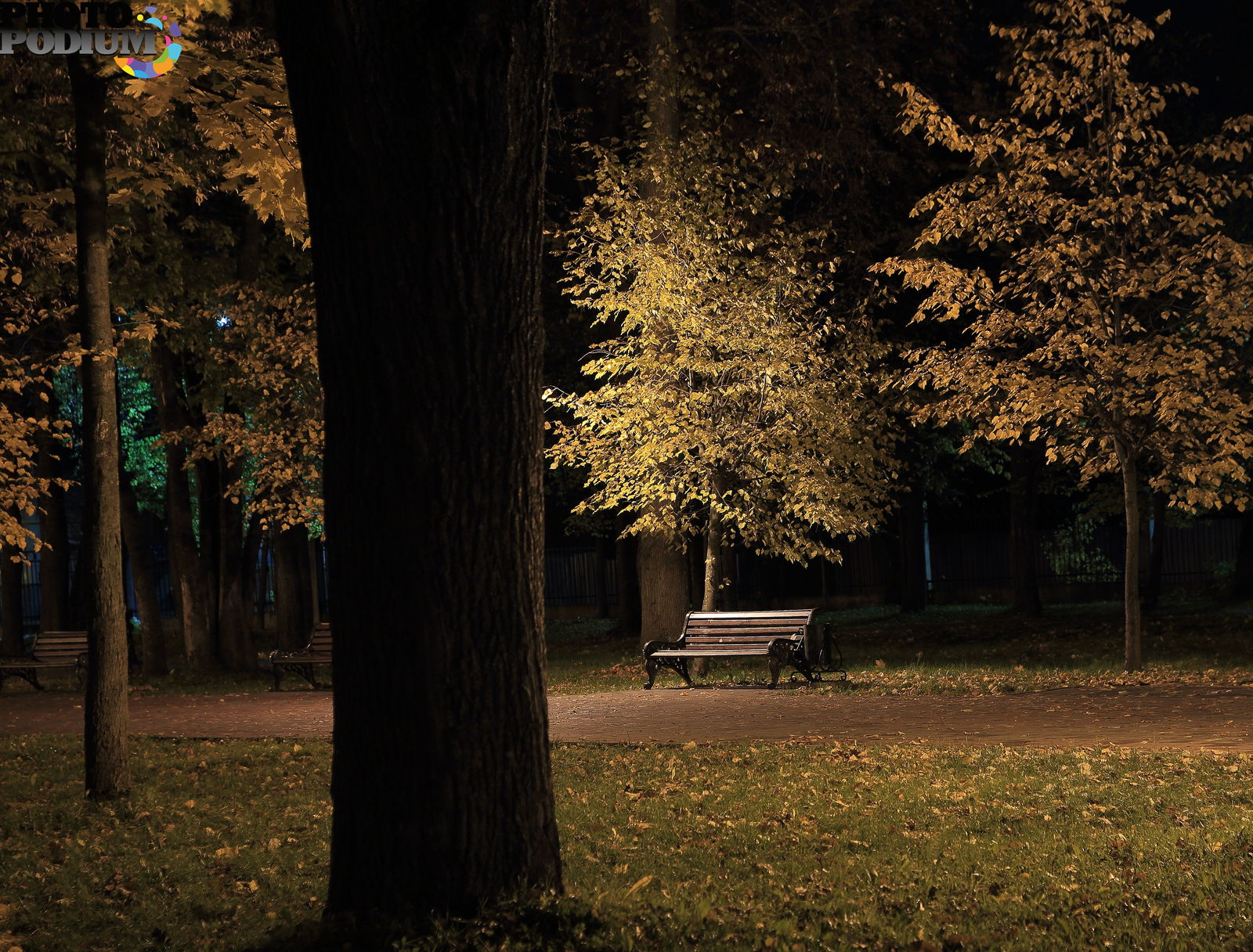 Темным осенним вечером. Осенний парк. Вечерний осенний парк. Ночь в парке. Осенний парк вечером.