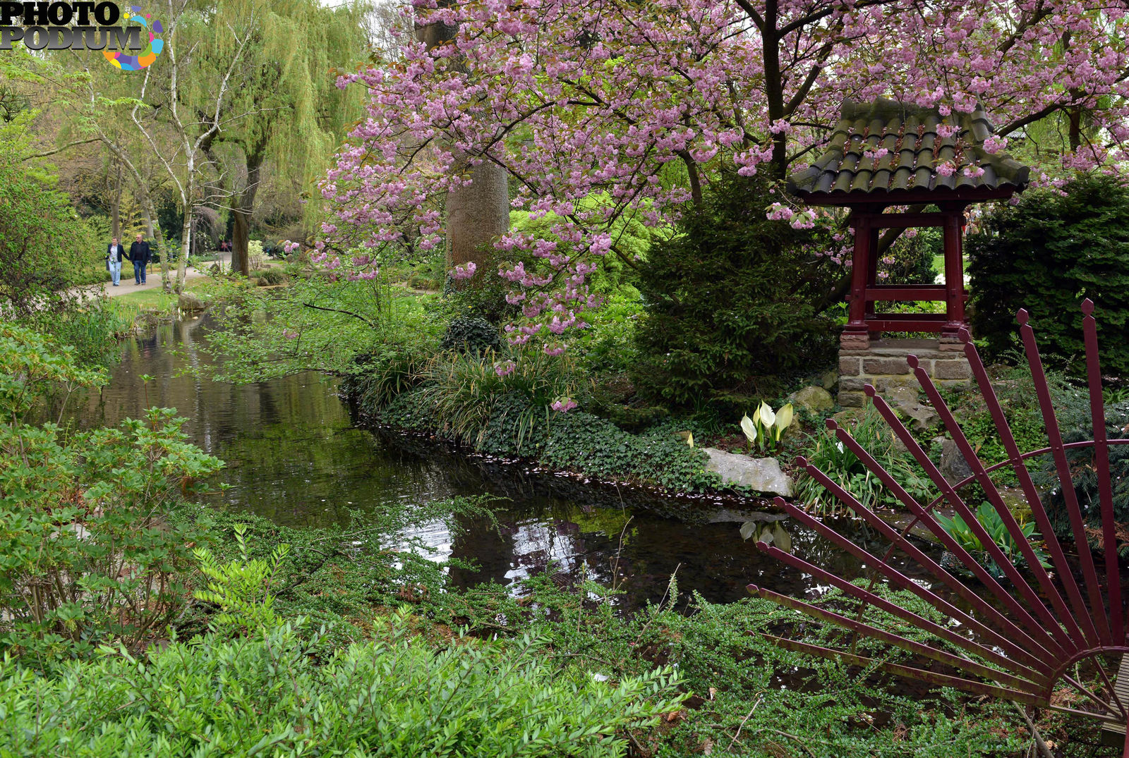 Японский сад вднх