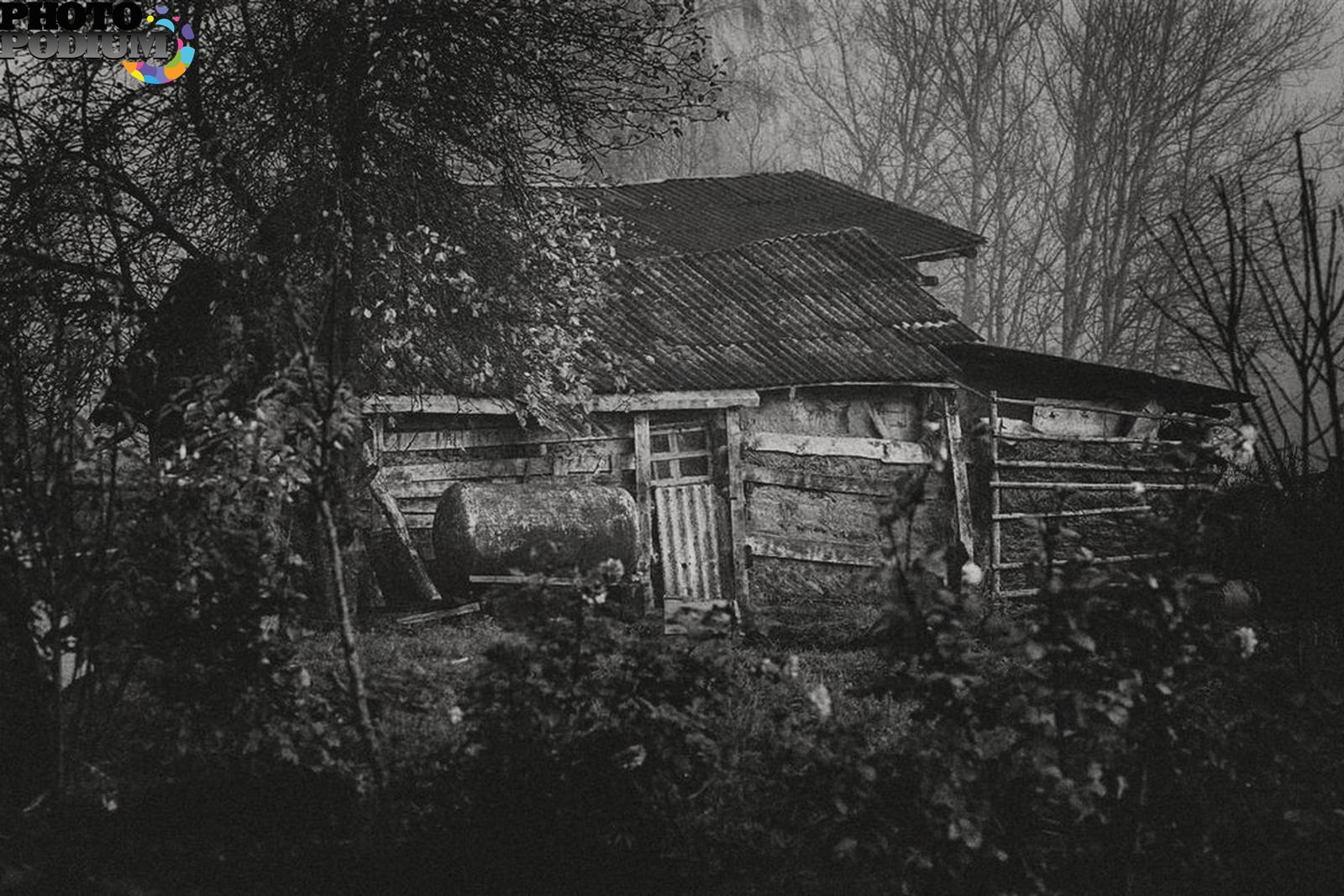 Ретро деревня. Ретро фото деревни. Старое фото деревни Голубино. Фотограф из деревни Волок.