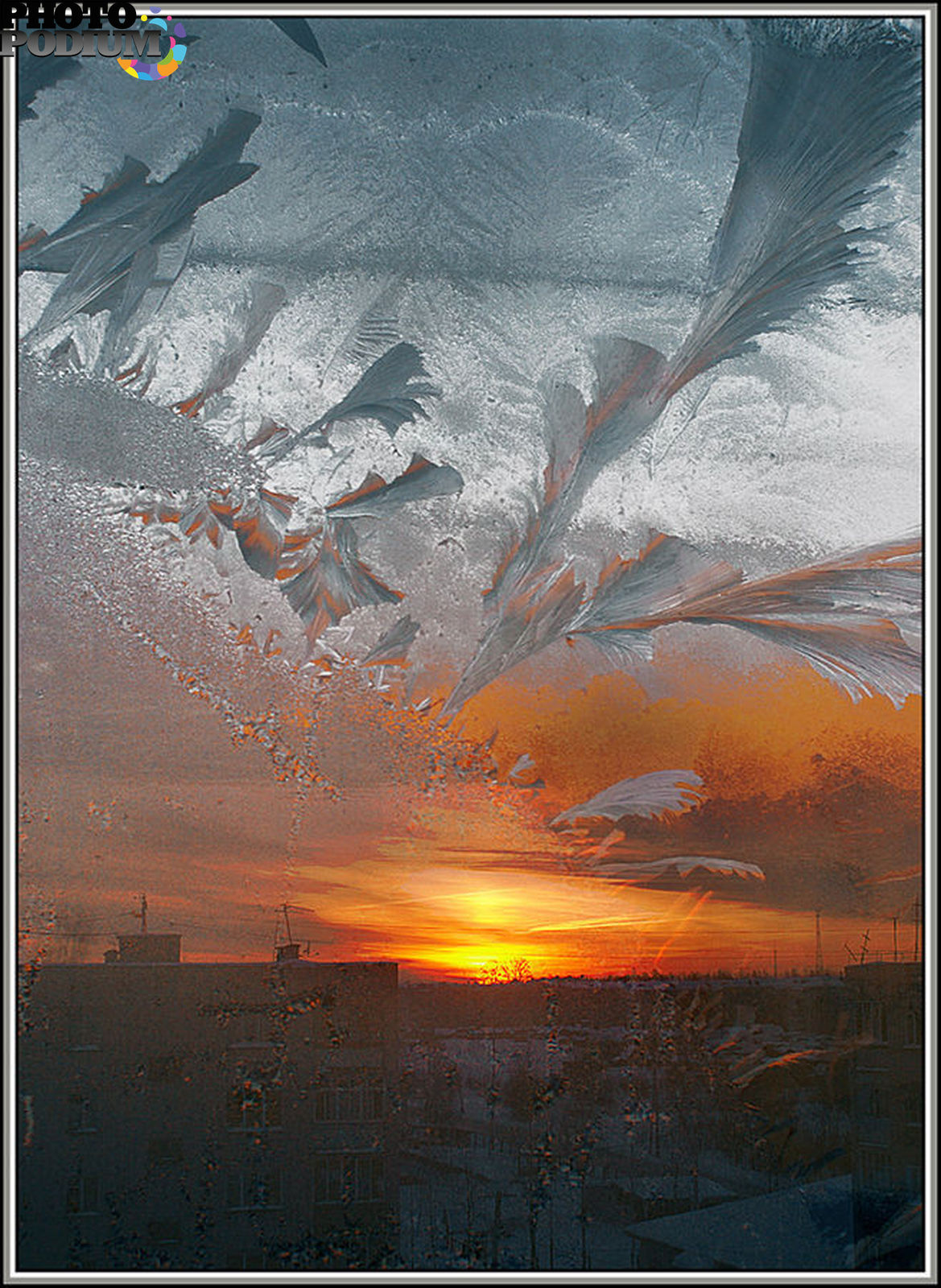 В морозные дни солнце восходит в тяжелом. Морозный Восход солнца. Февральский пейзаж Восход птицы. Морозный закат UHD. Рассвет на морозном небе.