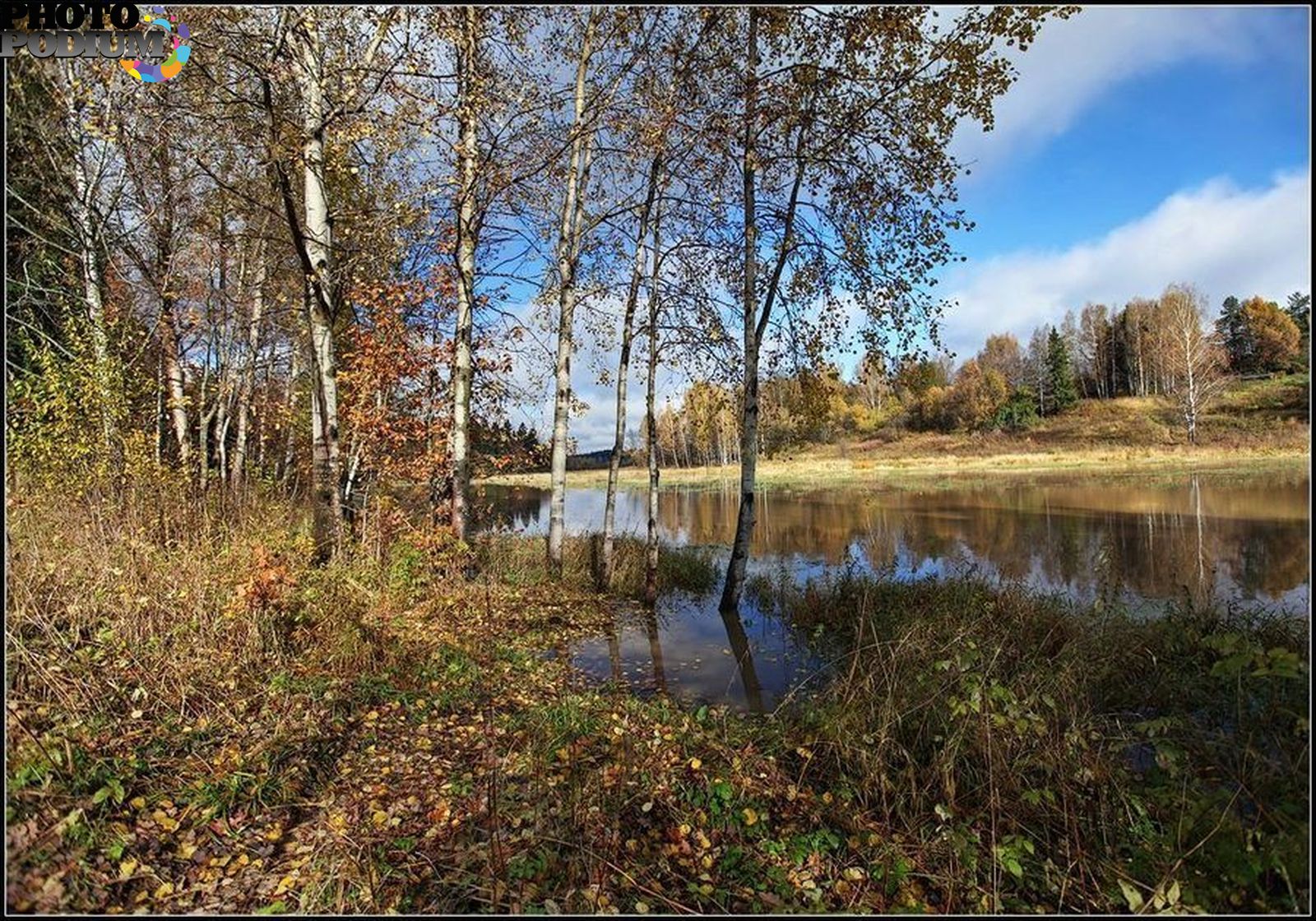 Погода осинки безенчукский области. Озеро деревня Осинки. Абрамцево лес фото. Осинки Самарская область. Поселок Осинки Самарская область.