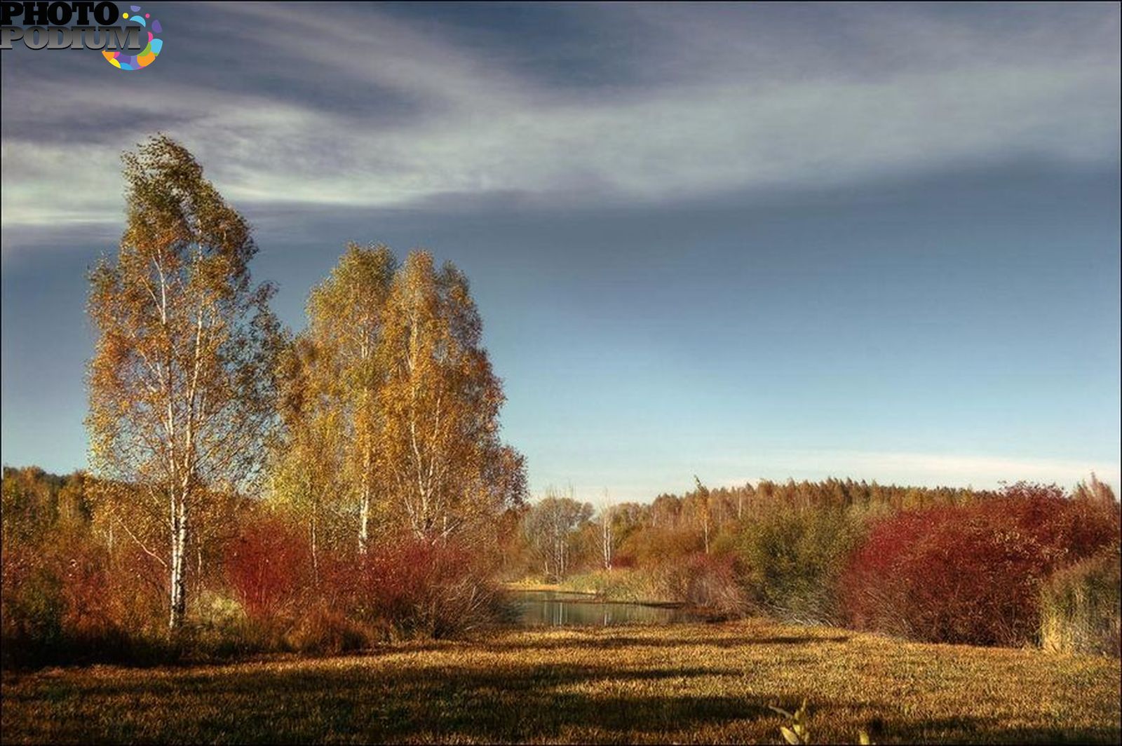 Осень автор. Осень фото Подмосковье ноябрь.