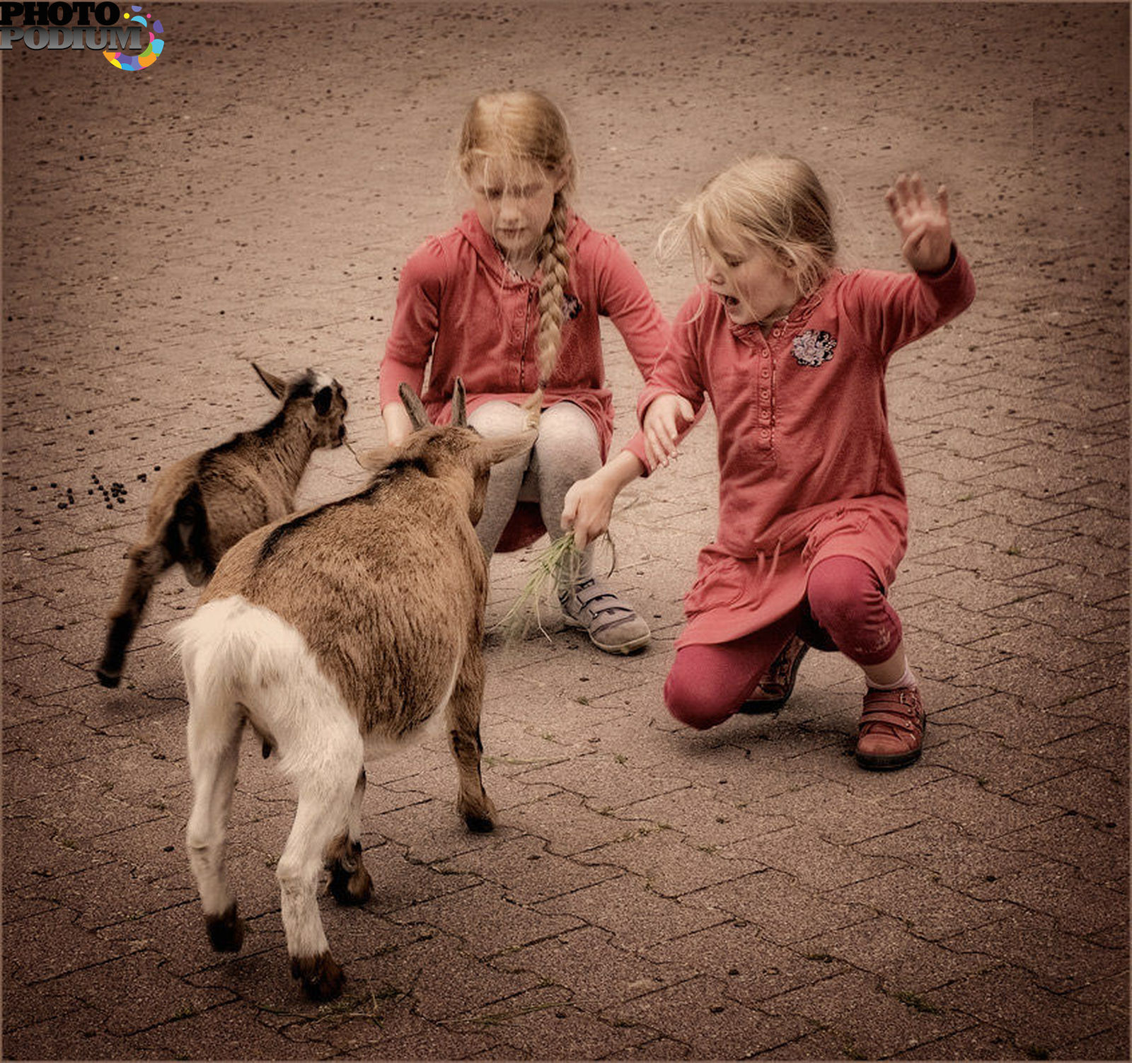 Дети года козы. Коза для детей. Фотосессия с козой детская. Козленок играется. Дитя козы.