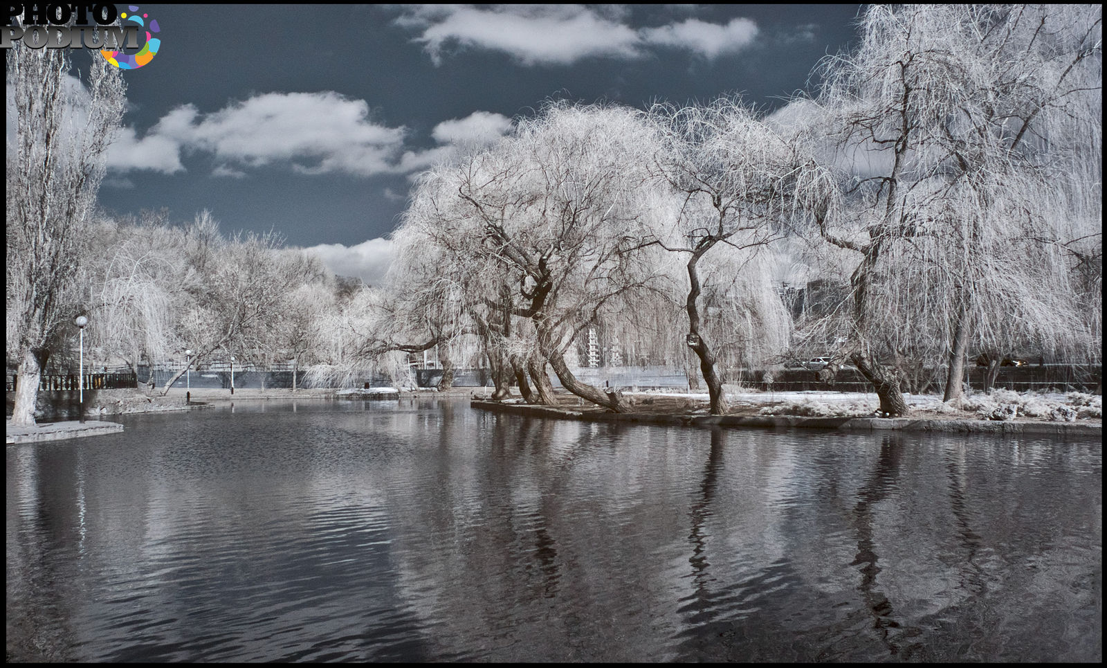 Зимний пейзаж Краснодара