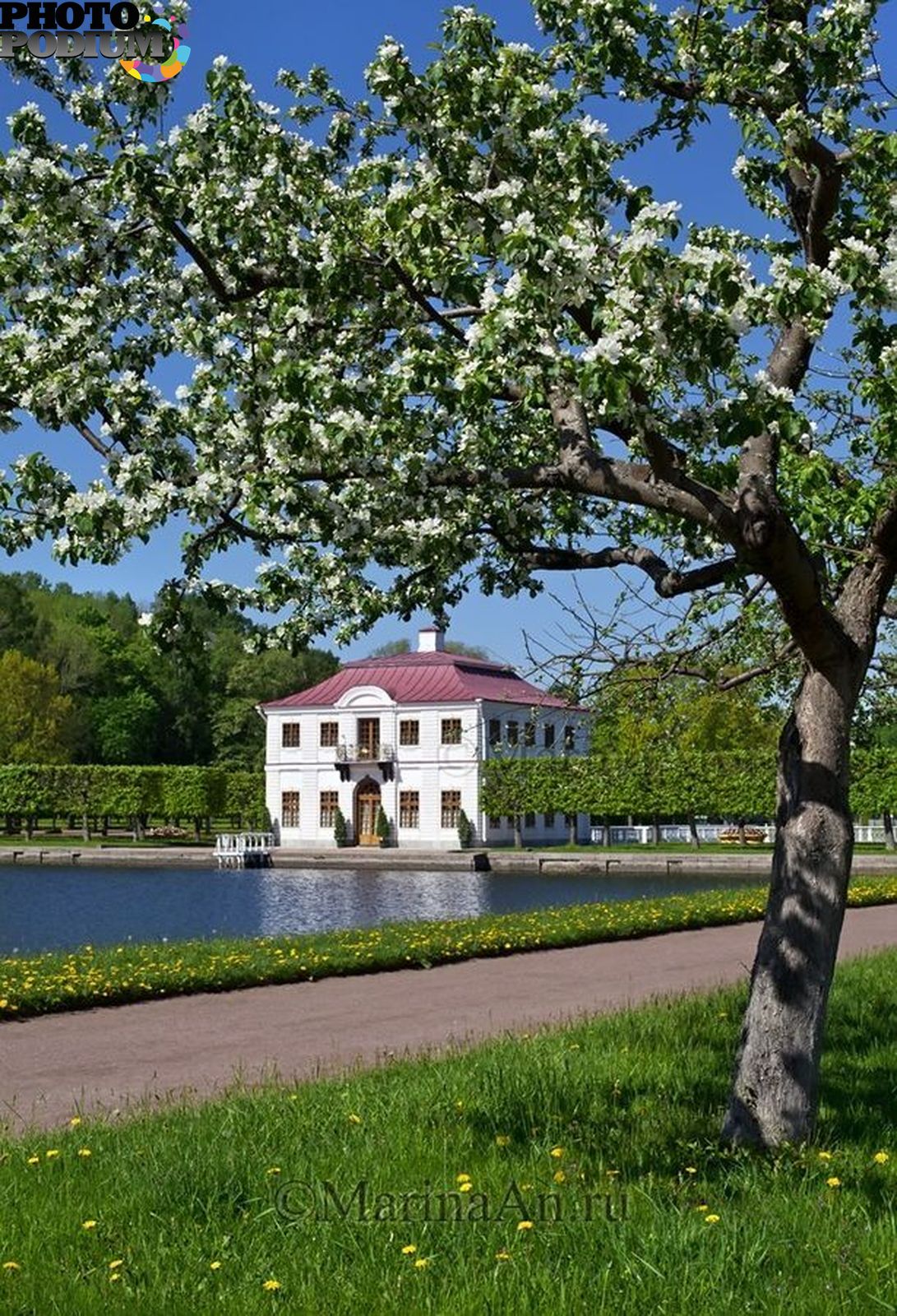 Яблоневый сад Петергоф ,Нижний парк