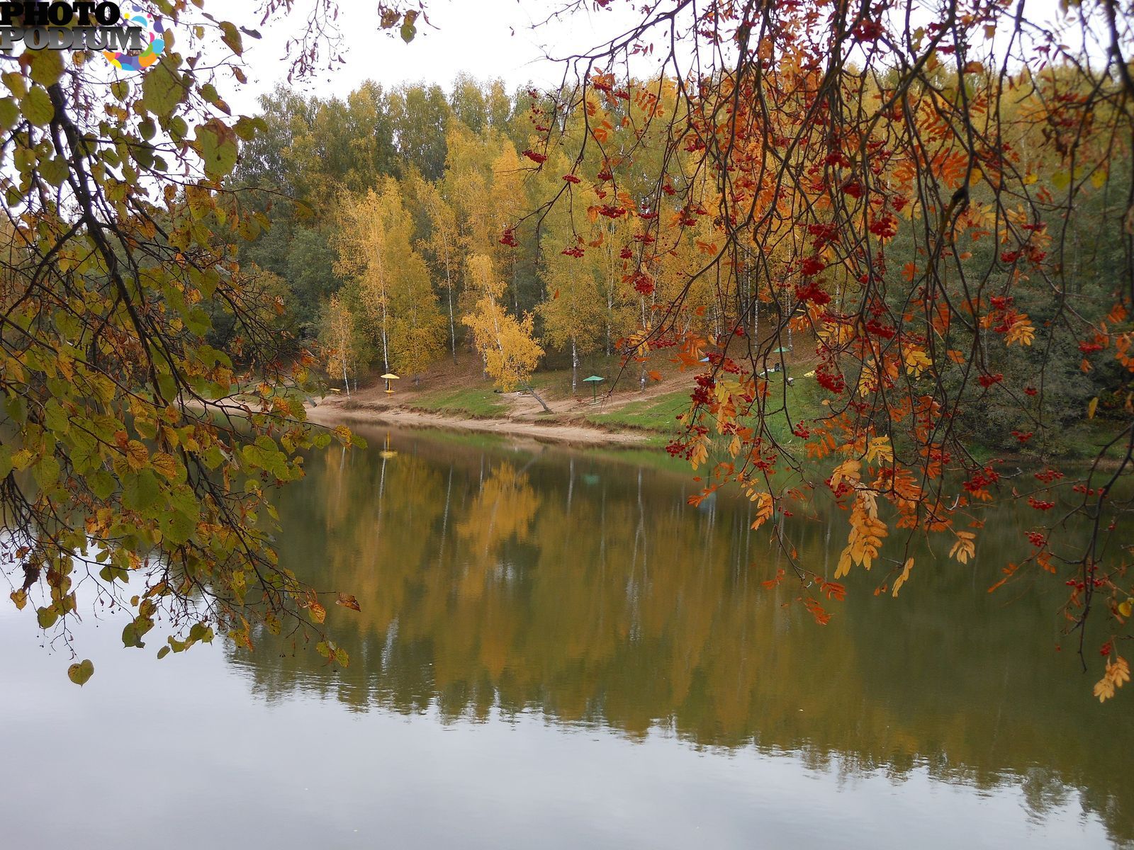 Осень 10. Просто осень. Снова осень. Сова осень. Карелия листопад.