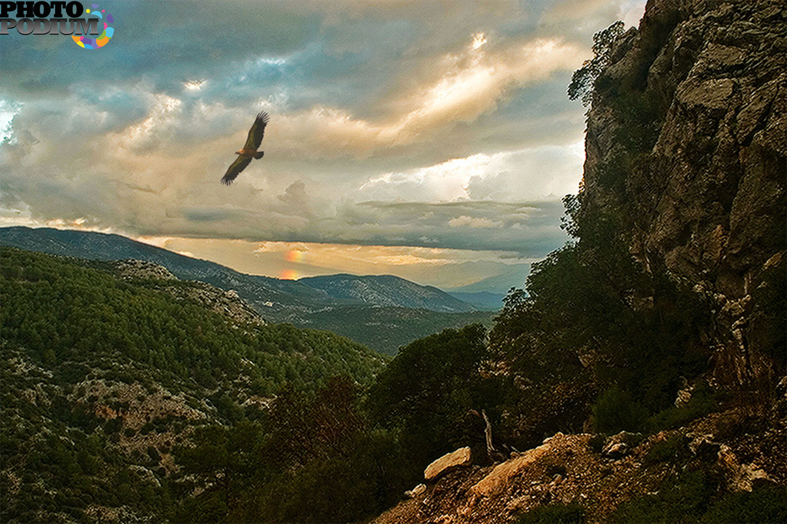Над исой. Орел в горах Дагестана. Птица над горами. Орел над горами. Орел парит над горами.