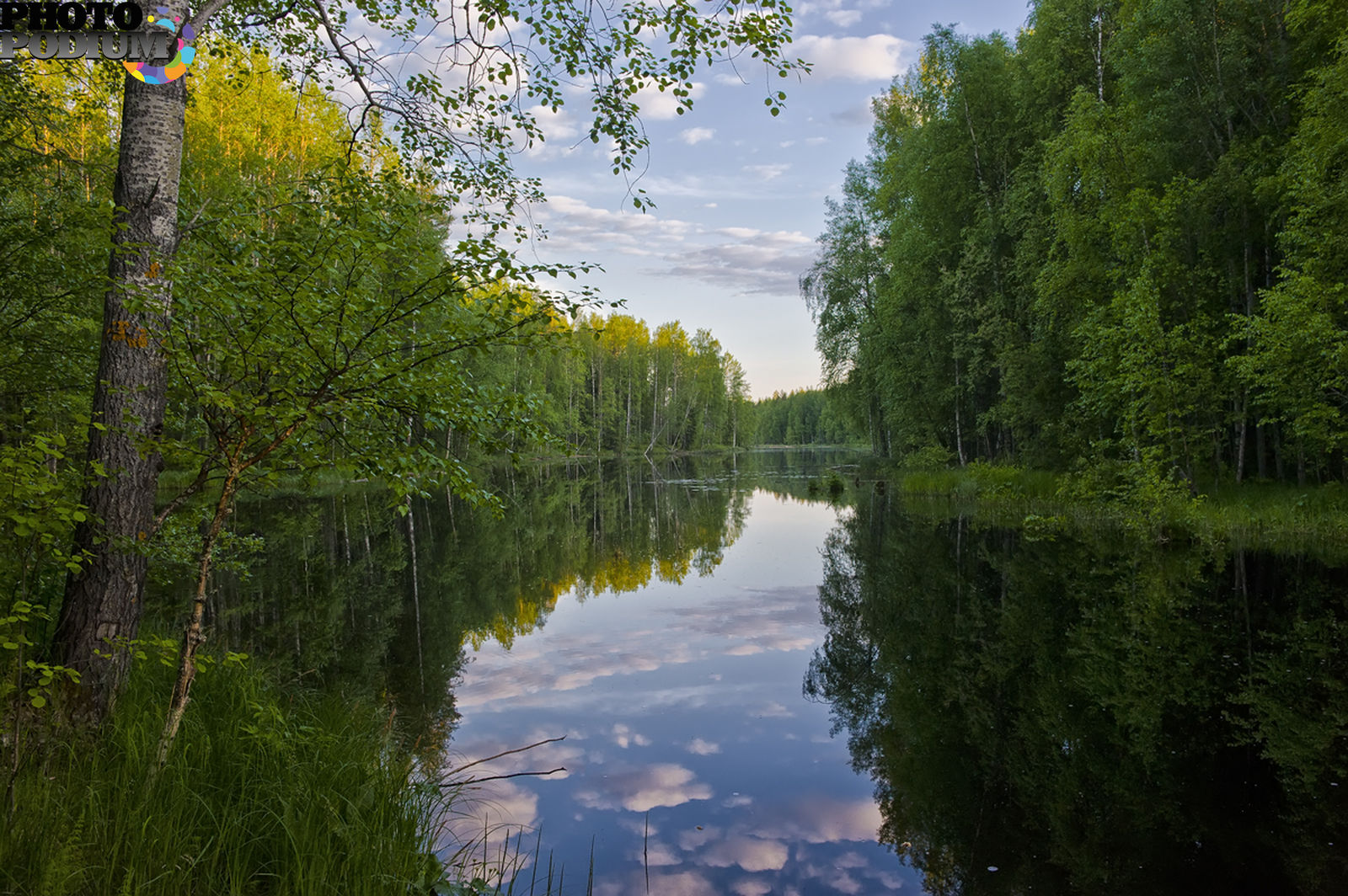 Заводи пожалуйста. Озеро Тихая заводь. Заводь на озере. Природа России. Природа центральной России.