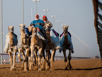 Camel race track