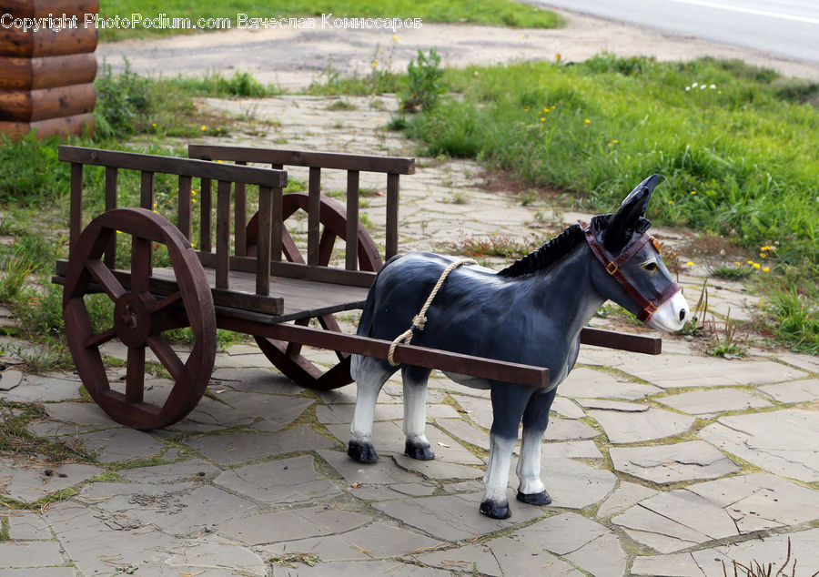 Bench, Buggy, Carriage, Horse Cart, Wagon, Animal, Donkey