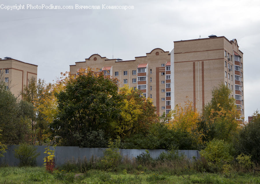 Apartment Building, Building, High Rise, Downtown, Neighborhood, Town, Housing