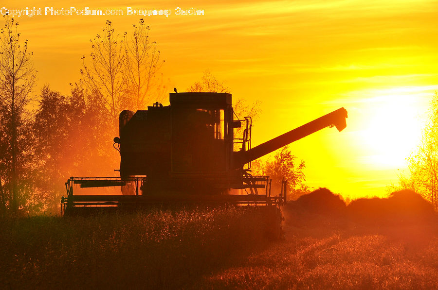 Bulldozer, Tractor, Vehicle, Countryside, Harvest, Dawn, Dusk