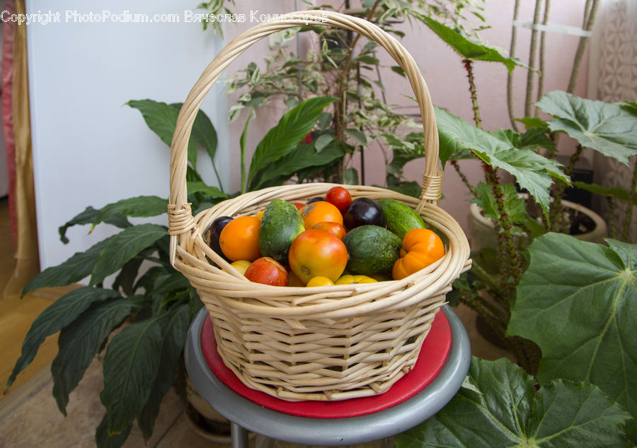 Basket, Flower Arrangement, Ikebana, Plant, Potted Plant, Vase, Fruit