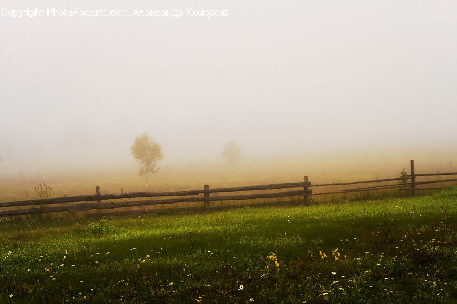 Field, Grass, Grassland, Land, Outdoors, Dawn, Dusk