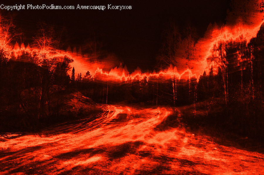 Fire, Forest, Vegetation, Plant, Tree, Silhouette, Dirt Road