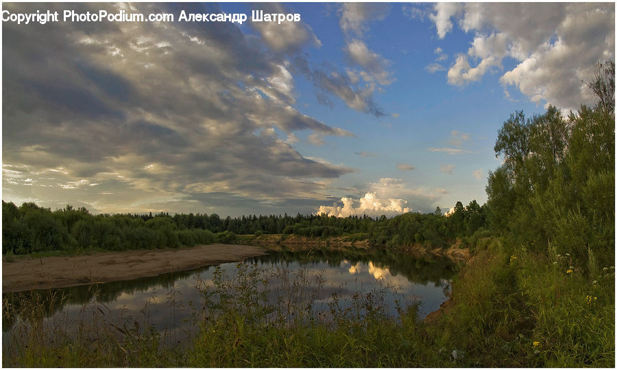 Land, Marsh, Pond, Swamp, Water, Field, Grass