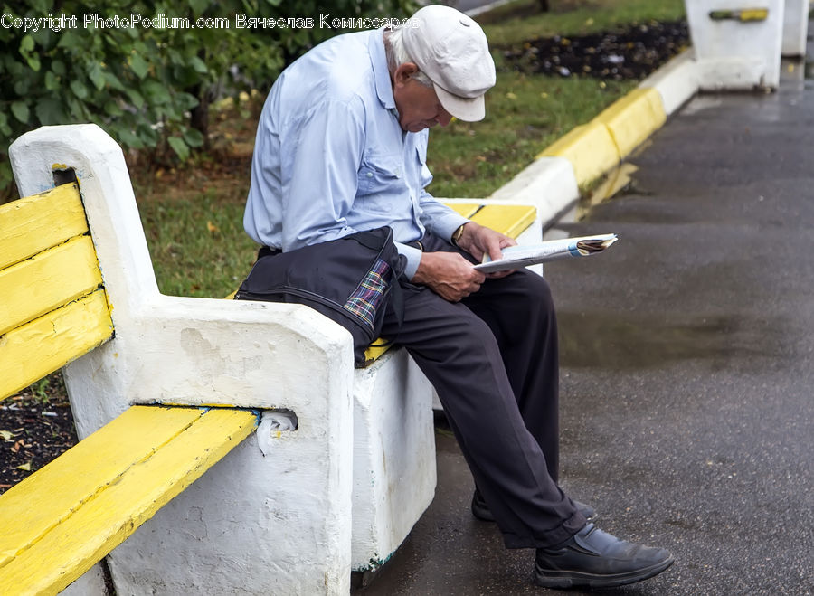 Human, People, Person, Park Bench, Bench