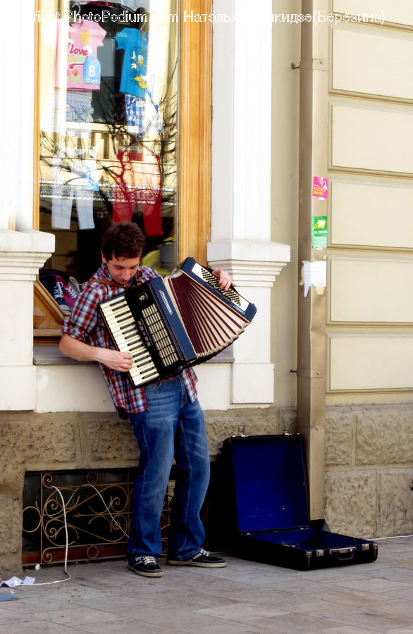 Accordion, Musical Instrument, People, Person, Human, Computer, Electronics