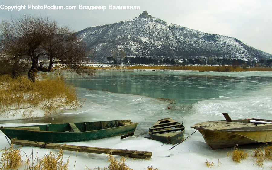 Boat, Dinghy, Rowboat, Vessel, Canoe, Water, Forest