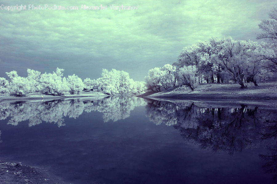 Blossom, Cherry Blossom, Flower, Landscape, Nature, Scenery, Flora