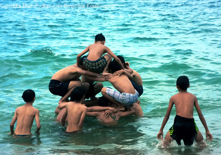 Human, People, Person, Back, Pool, Water, Diver