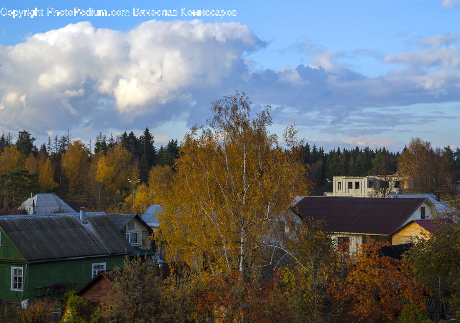 Building, Cottage, Housing, Cabin, Hut, Rural, Shack
