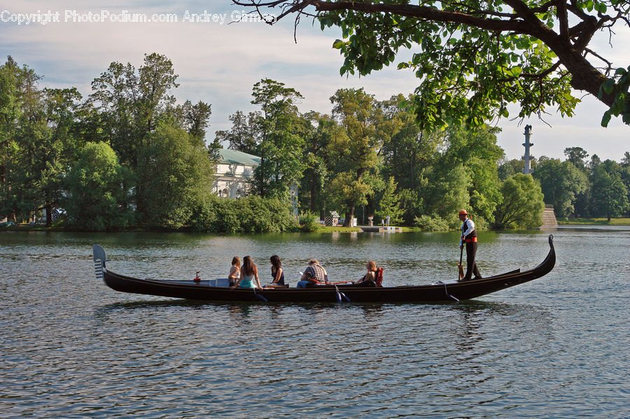 Boat, Gondola, Canoe, Rowboat, Oak, Sycamore, Tree