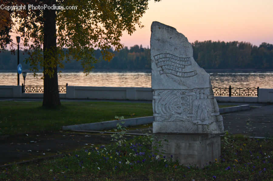 Plant, Potted Plant, Tomb, Tombstone, Tree, Oak, Sycamore