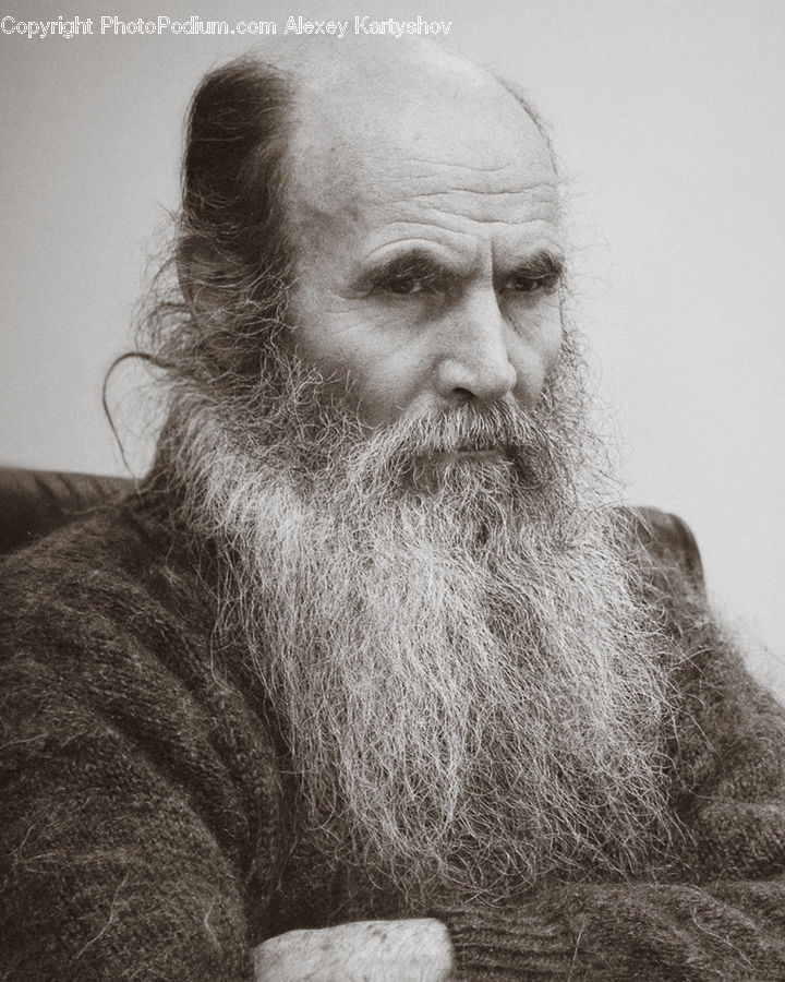 Beard, Hair, Person, Portrait
